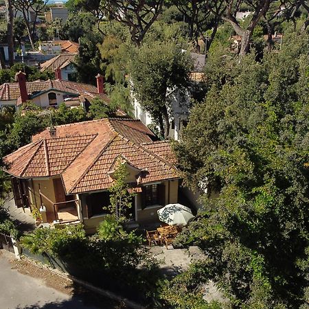 Exclusive Charming Villa - Free Parking 400 Mq Garden - Rome Airport - Roseto Villa Dream フレジェネ エクステリア 写真