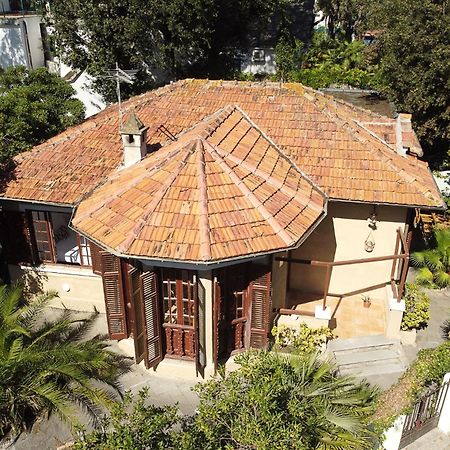 Exclusive Charming Villa - Free Parking 400 Mq Garden - Rome Airport - Roseto Villa Dream フレジェネ エクステリア 写真